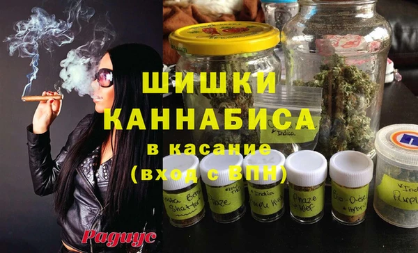ПСИЛОЦИБИНОВЫЕ ГРИБЫ Тында