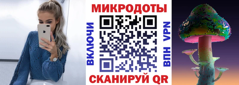 Галлюциногенные грибы Psilocybe Снежинск