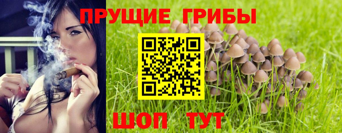Псилоцибиновые грибы прущие грибы Снежинск